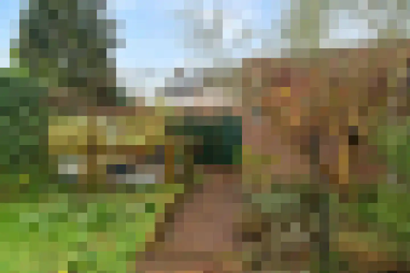 Mr. Beerninkplantsoen 50 Rijswijk thumbnail 19
