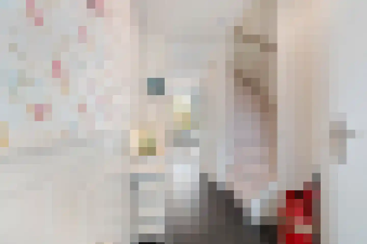 Mr. Beerninkplantsoen 50 Rijswijk thumbnail 8