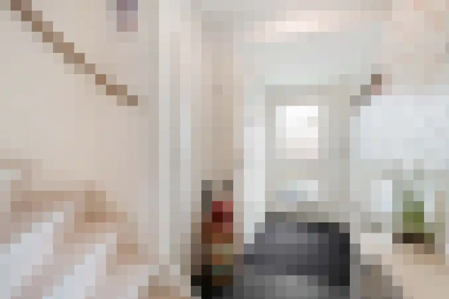 Mr. Beerninkplantsoen 50 Rijswijk thumbnail 9