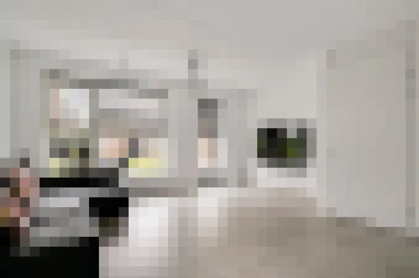 Mr. Bergerstraat 5 a Broekhuizen thumbnail 11