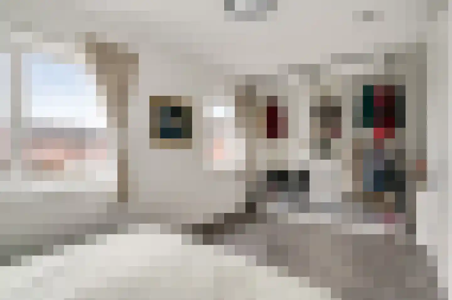 Mr. Bergerstraat 5 a Broekhuizen thumbnail 21