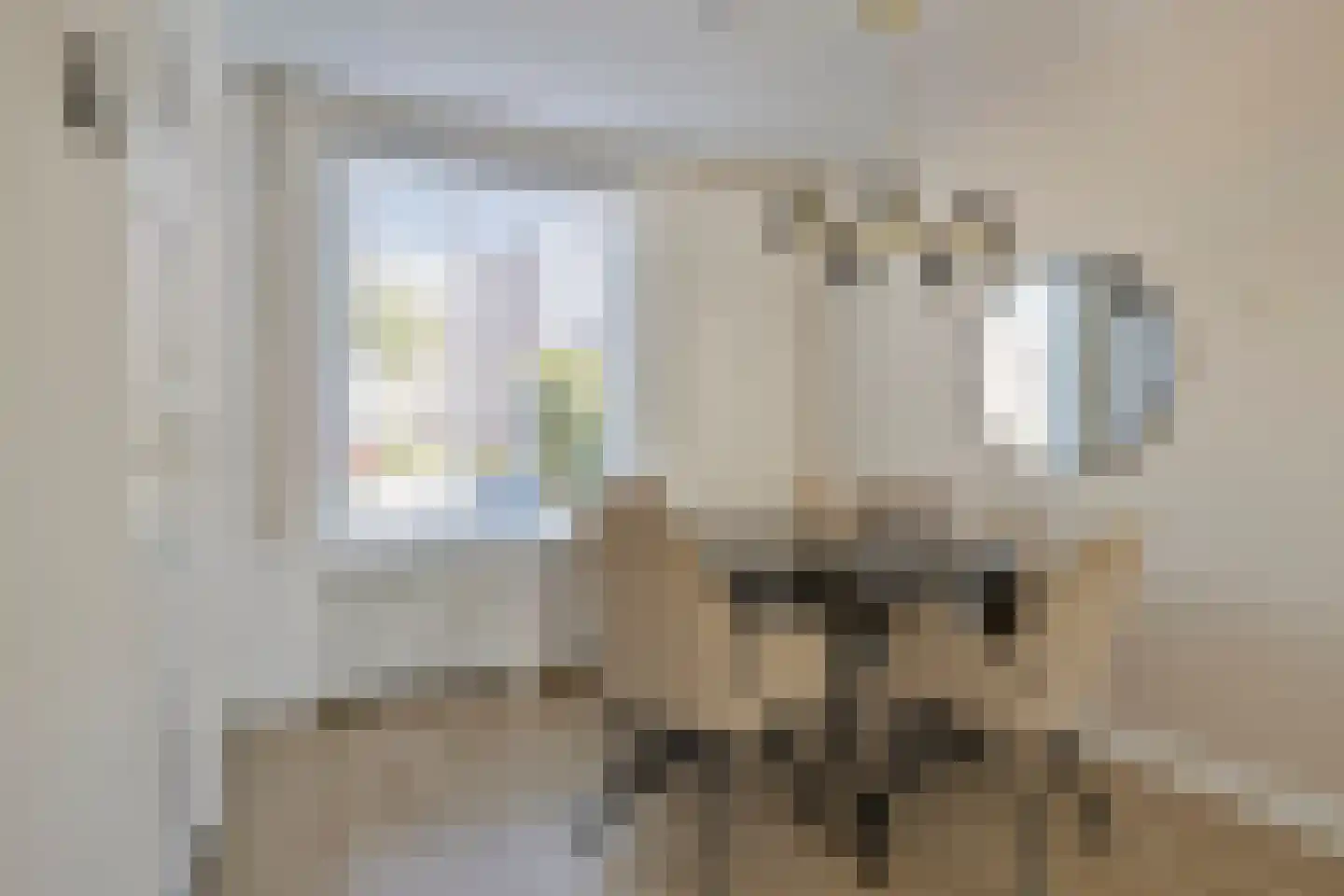 Mr. C. Goselingstraat 34 Best thumbnail 11