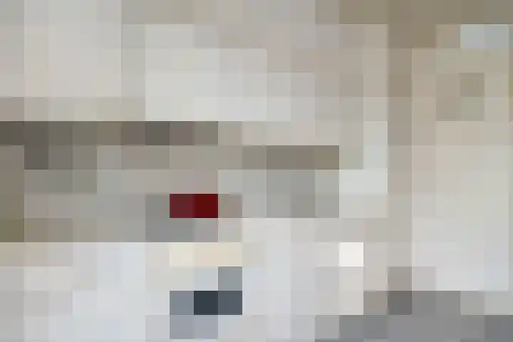 Mr. C. Goselingstraat 79 Best thumbnail 15