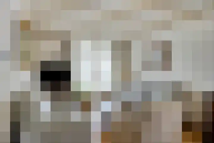 Mr. C. Goselingstraat 79 Best thumbnail 16