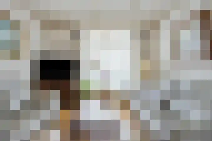 Mr. C. Goselingstraat 79 Best thumbnail 17