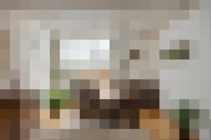 Mr. C. Goselingstraat 79 Best thumbnail 20