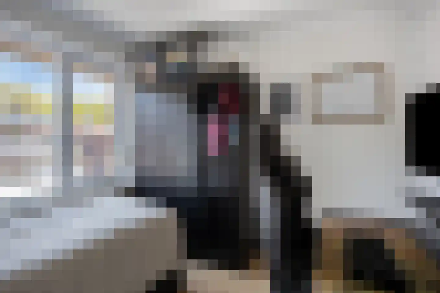 Mr. C. Goselingstraat 95 Best thumbnail 27