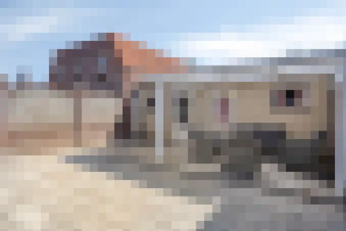 Mr. C. Goselingstraat 95 Best thumbnail 31