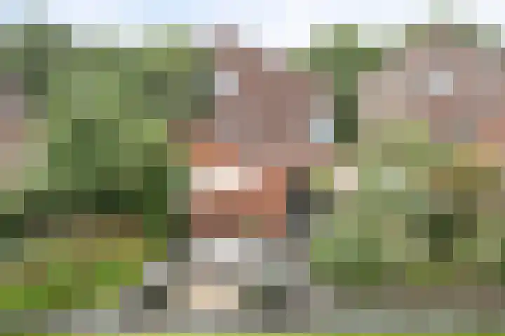 Mr. C.L. Kniphorststraat 59 Emmen thumbnail 32