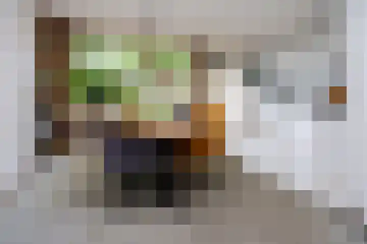 Mr. Calspark 6 Ede thumbnail 10