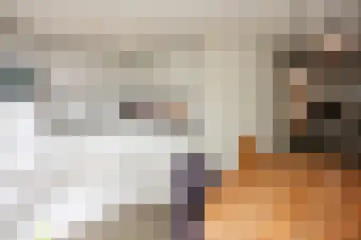 Mr. Calspark 6 Ede thumbnail 12