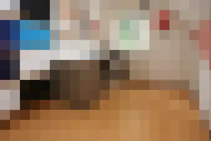 Mr. Calspark 6 Ede thumbnail 14