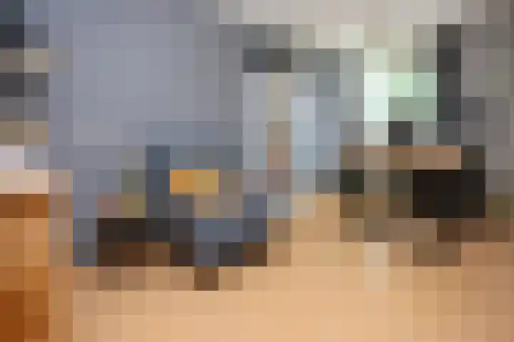 Mr. Calspark 6 Ede thumbnail 15