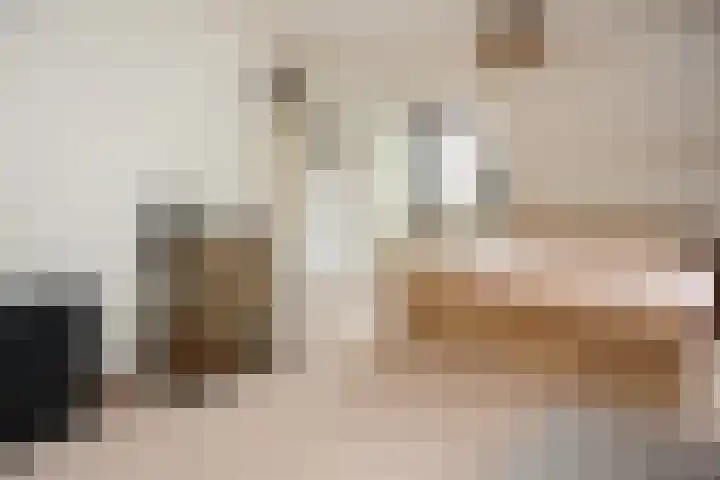 Mr. Calspark 6 Ede thumbnail 18
