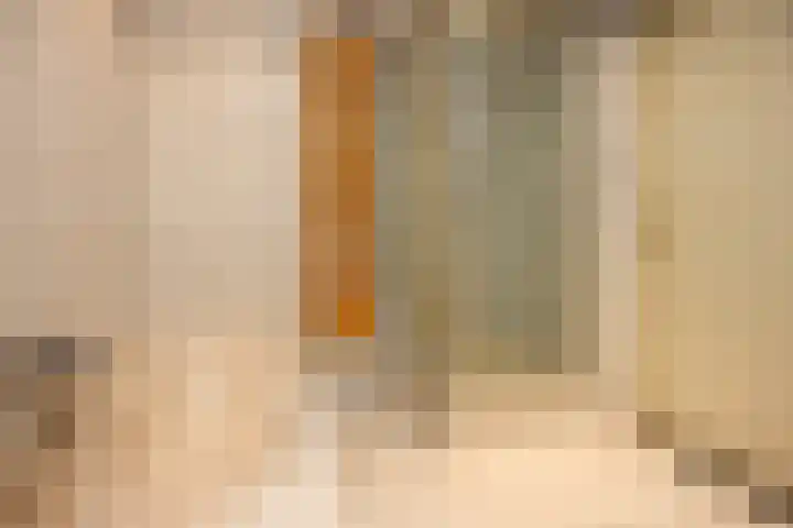 Mr. Calspark 6 Ede thumbnail 20