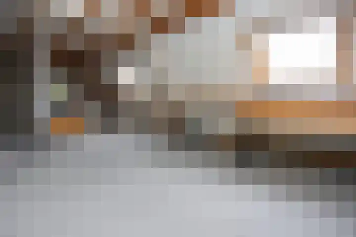 Mr. Calspark 6 Ede thumbnail 21