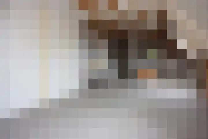 Mr. Calspark 6 Ede thumbnail 22