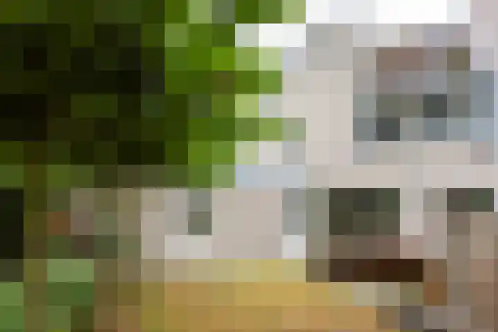 Mr. Calspark 6 Ede thumbnail 23
