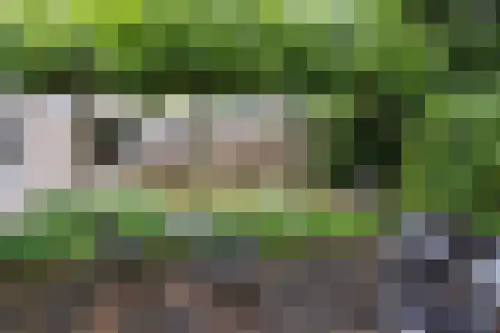 Mr. Calspark 6 Ede thumbnail 24