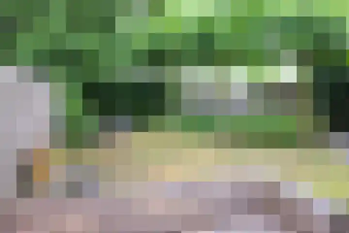 Mr. Calspark 6 Ede thumbnail 25