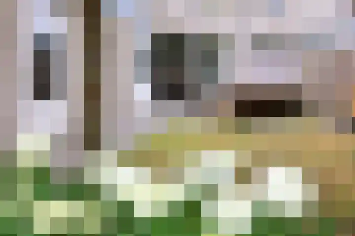 Mr. Calspark 6 Ede thumbnail 26