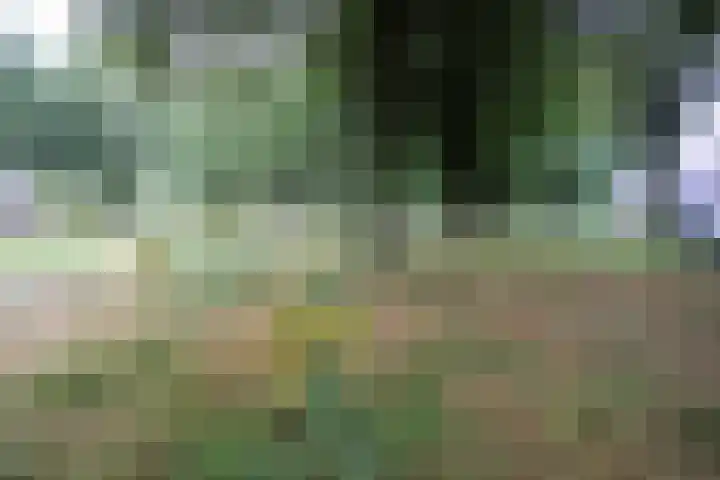 Mr. Calspark 6 Ede thumbnail 4