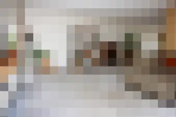 Mr. Calspark 6 Ede thumbnail 6