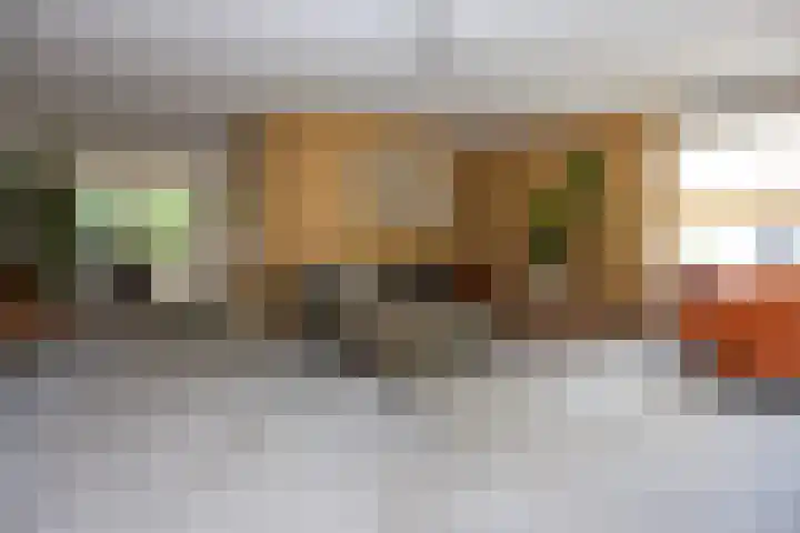 Mr. Calspark 6 Ede thumbnail 7