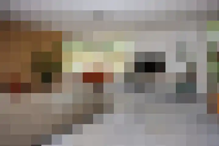 Mr. Calspark 6 Ede thumbnail 8