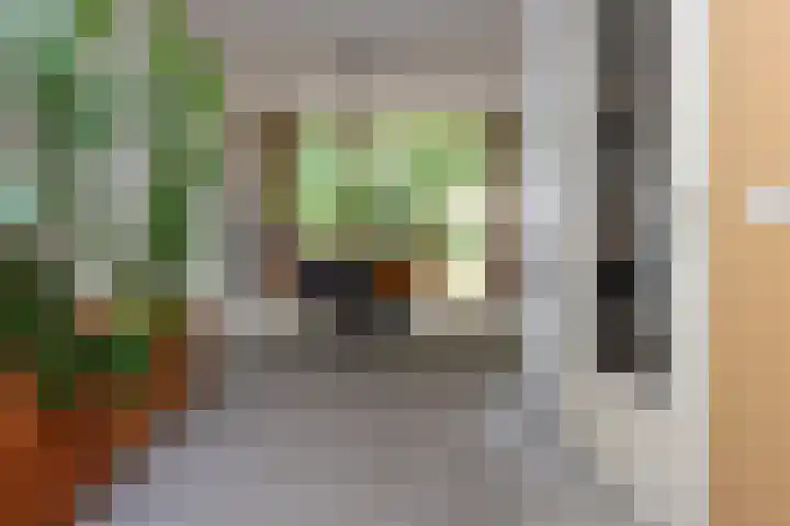Mr. Calspark 6 Ede thumbnail 9