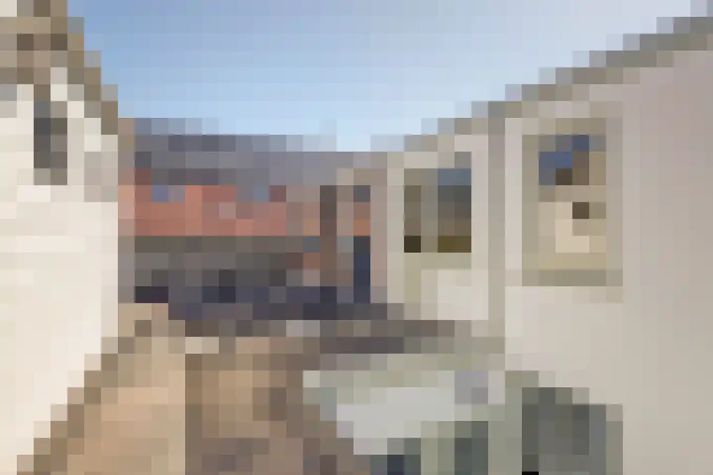 Mr. D. Donker Curtiusstraat 42 Katwijk thumbnail 28