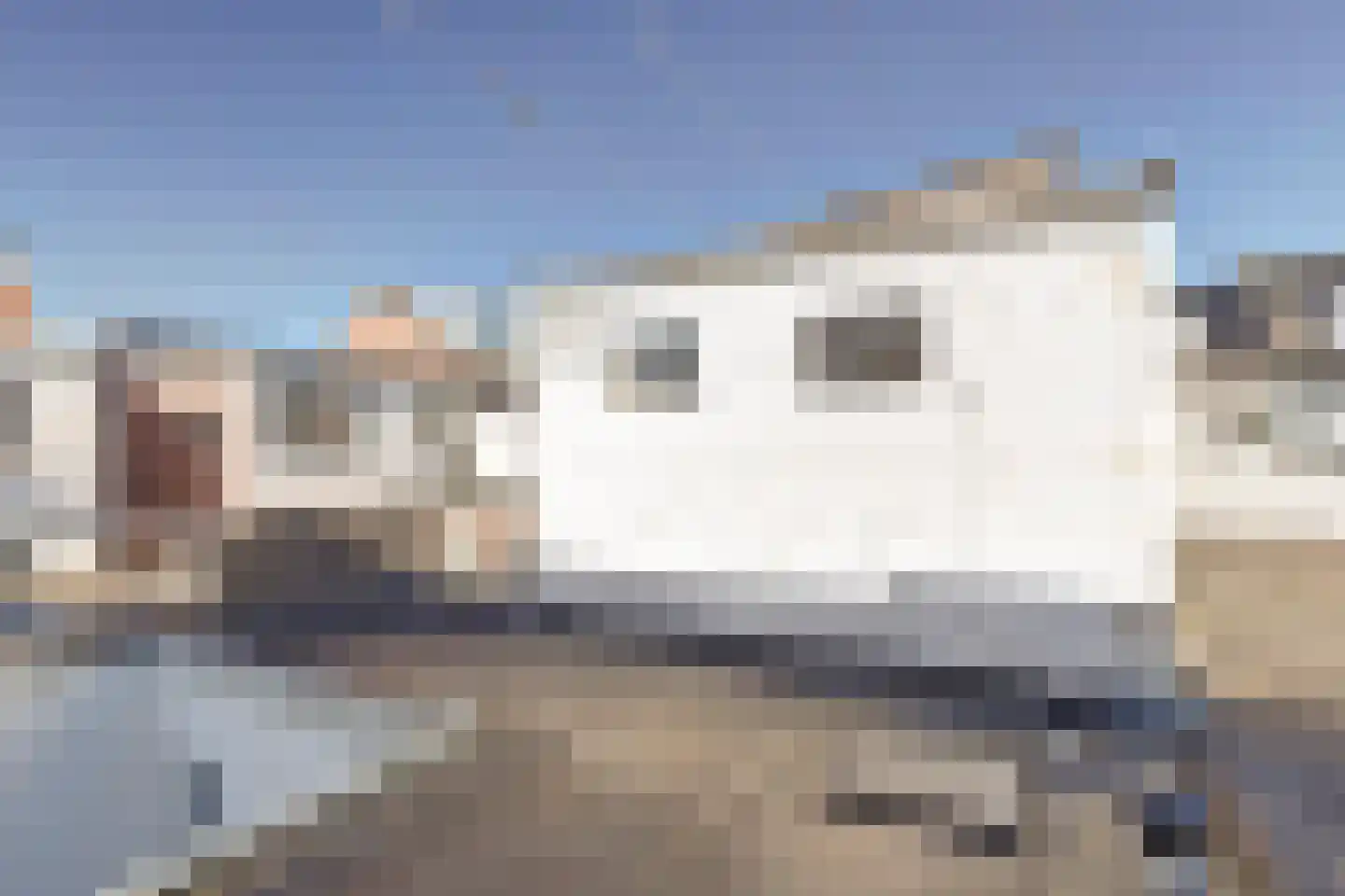 Mr. D. Donker Curtiusstraat 42 Katwijk thumbnail 29