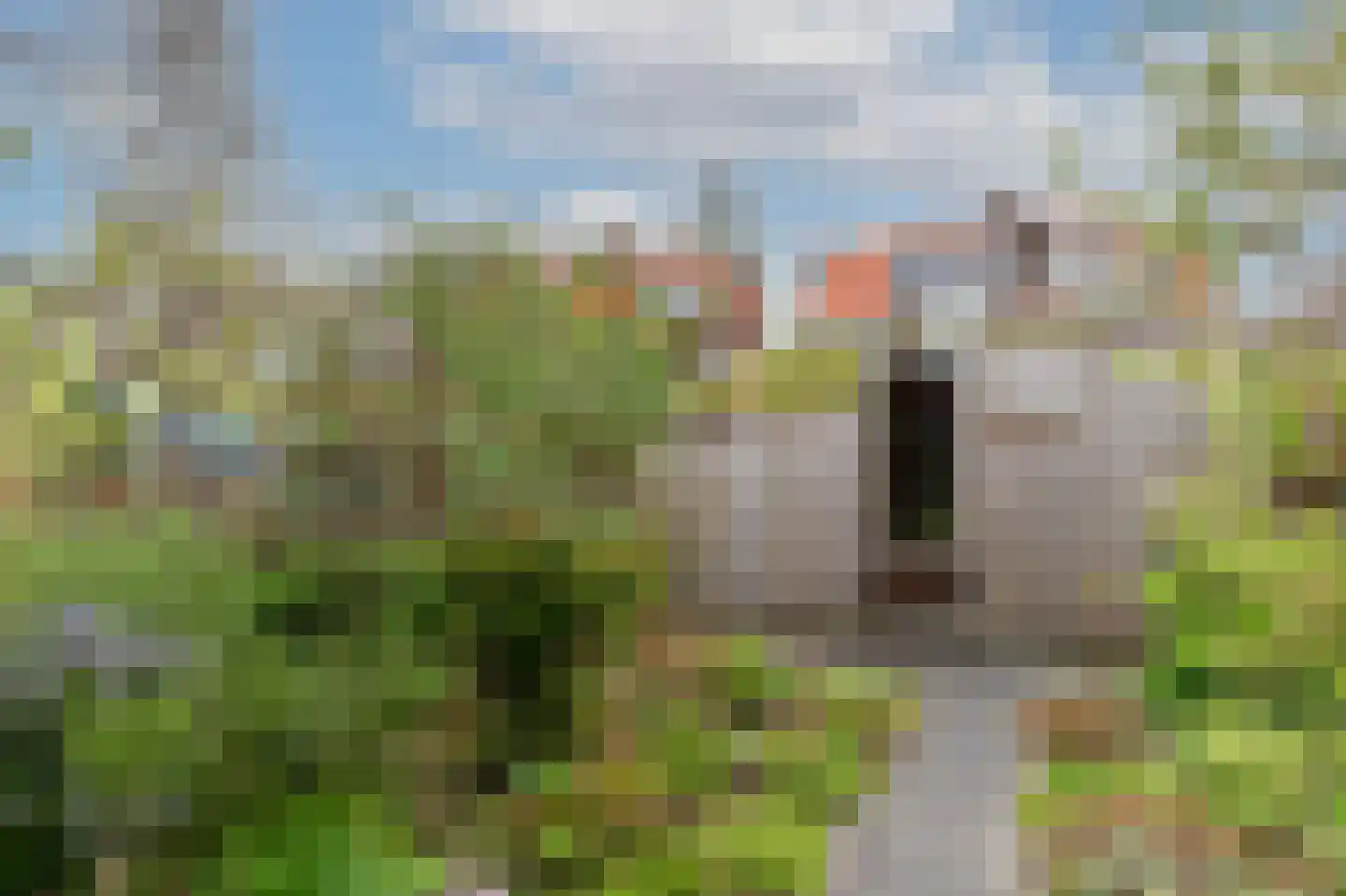 Mr. D.J. van Heusdestraat 36 Gouda thumbnail 24