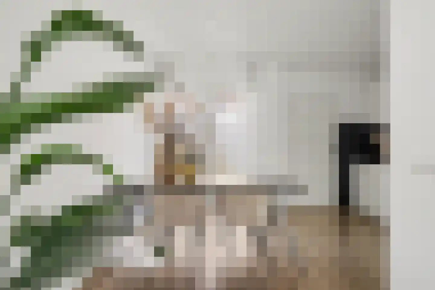 Mr. de Fremerystraat 14 's-Gravenzande thumbnail 8
