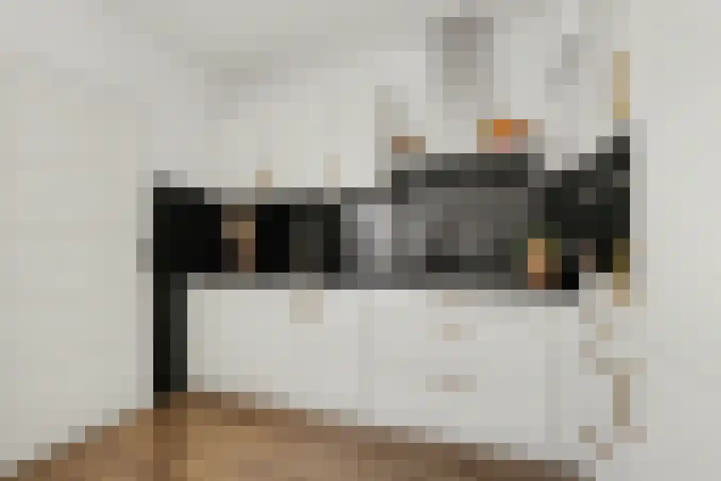 Mr. de Fremerystraat 14 's-Gravenzande thumbnail 9