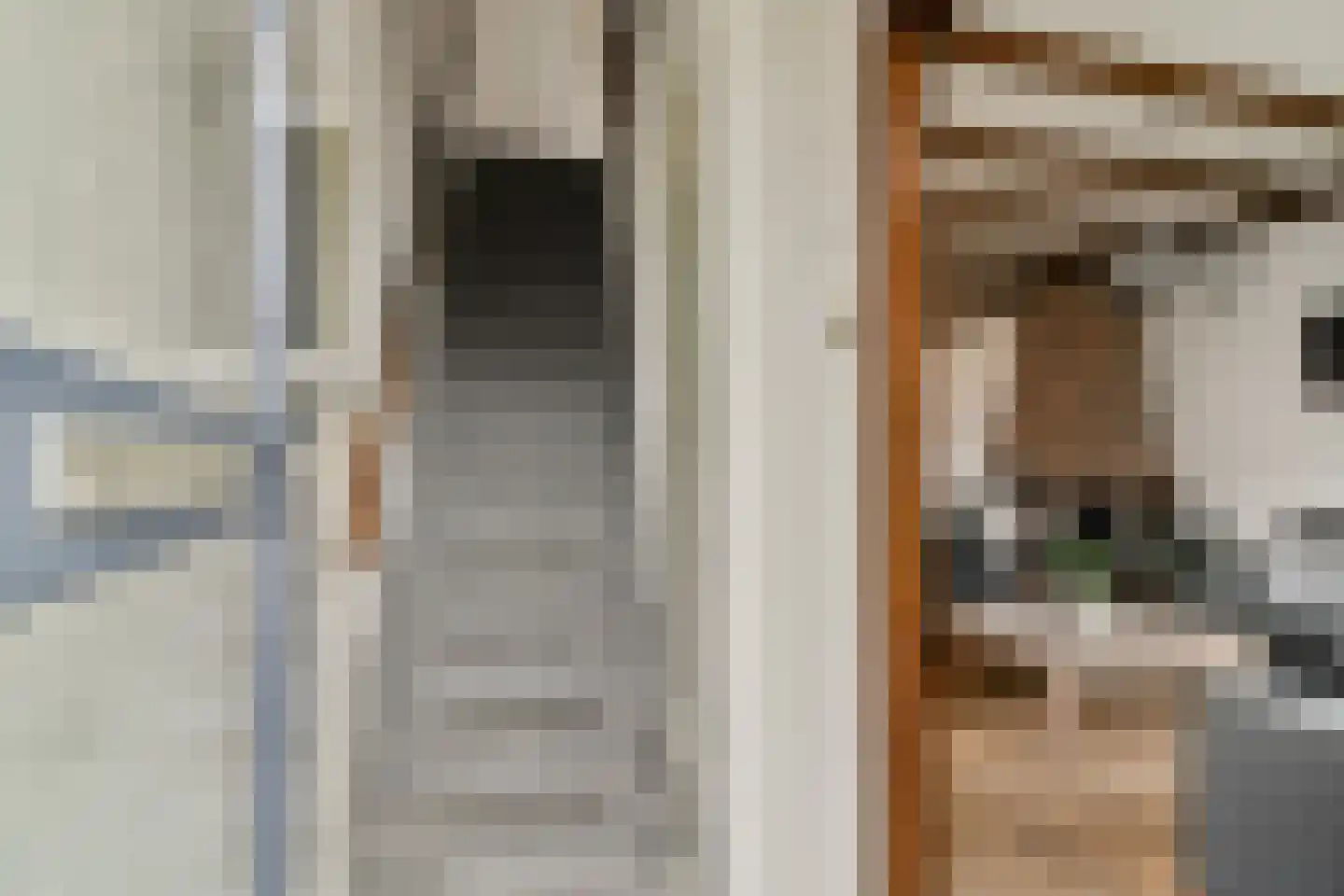 Mr. de Fremerystraat 3 's-Gravenzande thumbnail 11