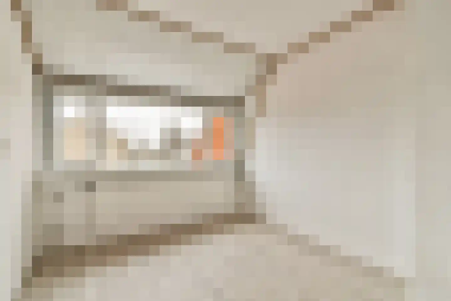 Mr. de Fremerystraat 3 's-Gravenzande thumbnail 15