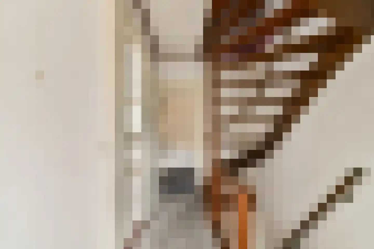 Mr. de Fremerystraat 3 's-Gravenzande thumbnail 19