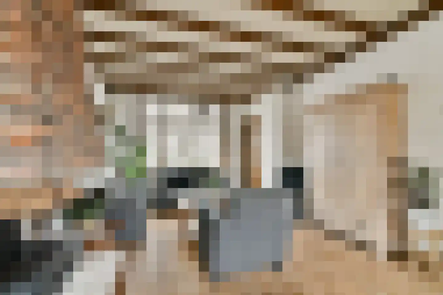 Mr. de Fremerystraat 3 's-Gravenzande thumbnail 4