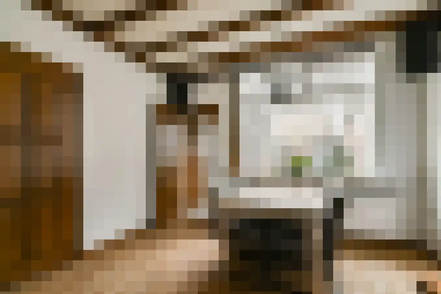 Mr. de Fremerystraat 3 's-Gravenzande thumbnail 5