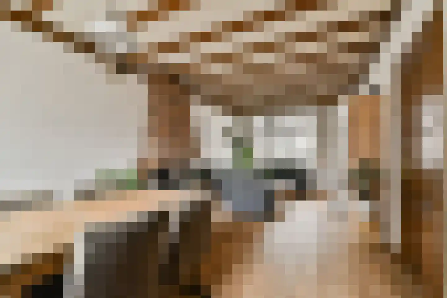 Mr. de Fremerystraat 3 's-Gravenzande thumbnail 6