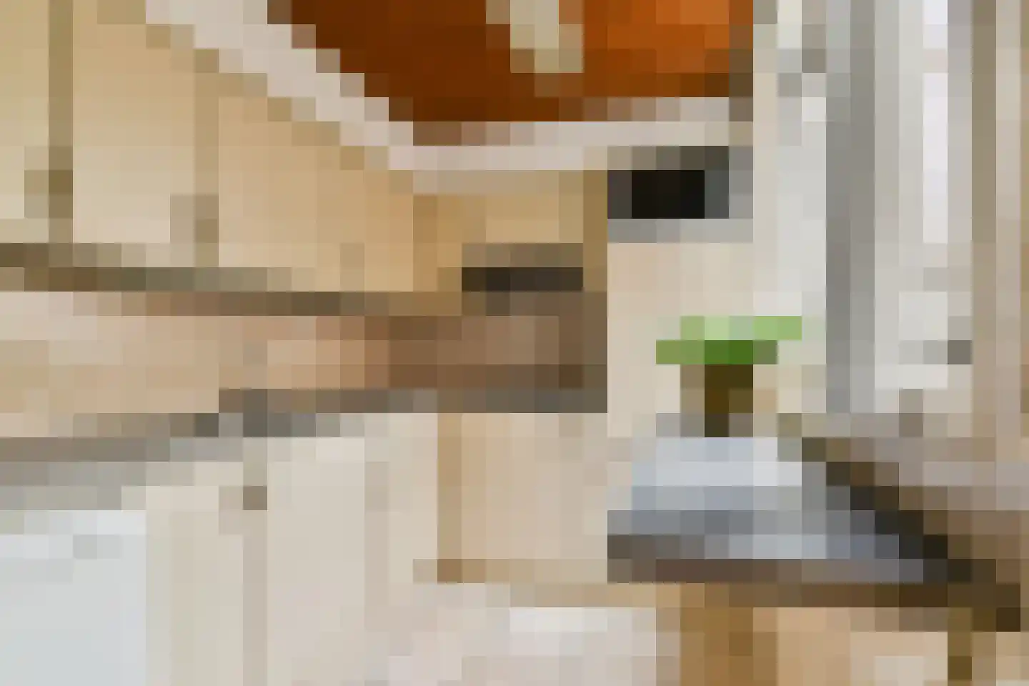 Mr. de Fremerystraat 3 's-Gravenzande thumbnail 7