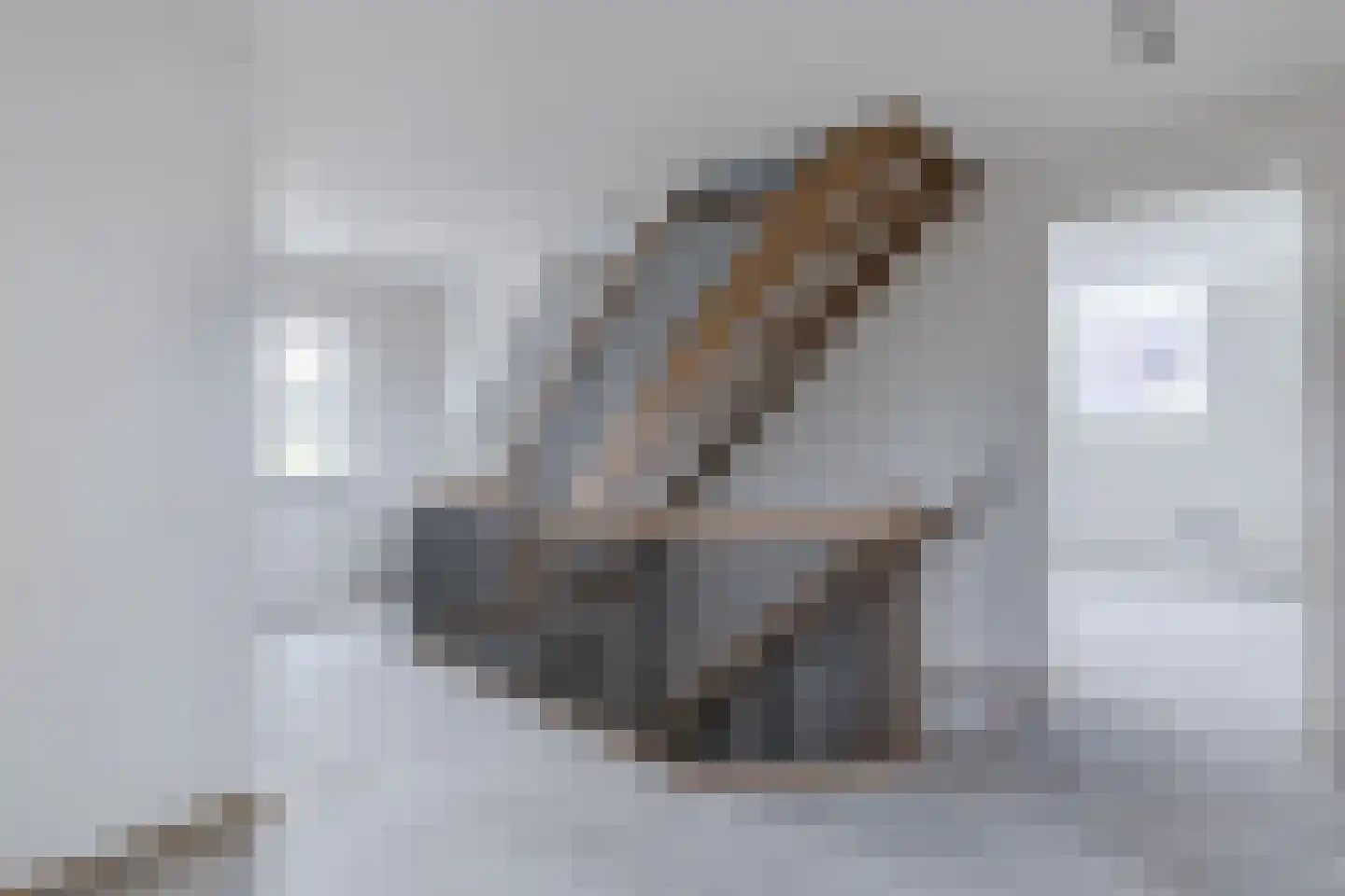 Mr de la Courtstraat 15 E Vessem thumbnail 17