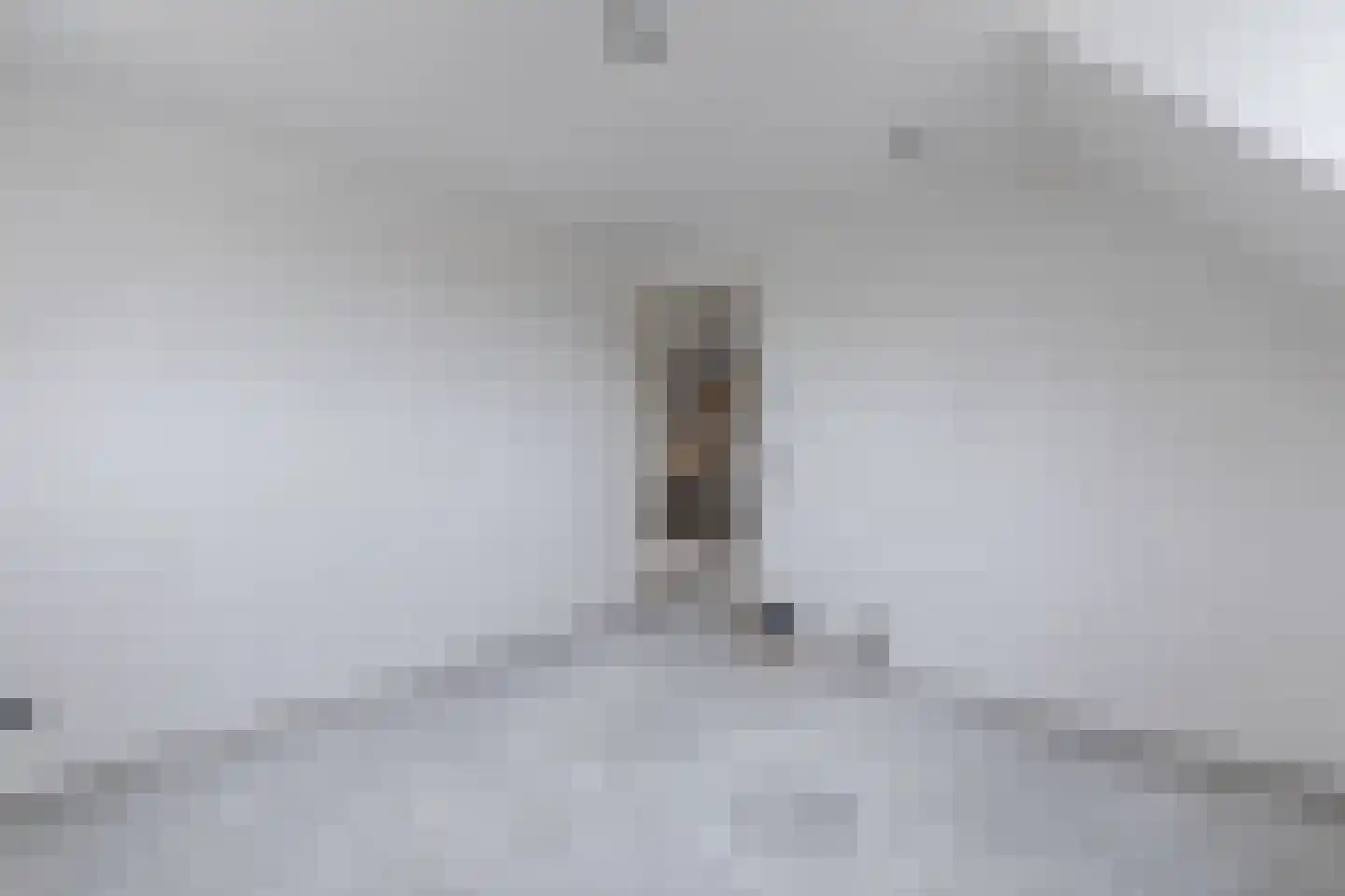 Mr de la Courtstraat 15 E Vessem thumbnail 22