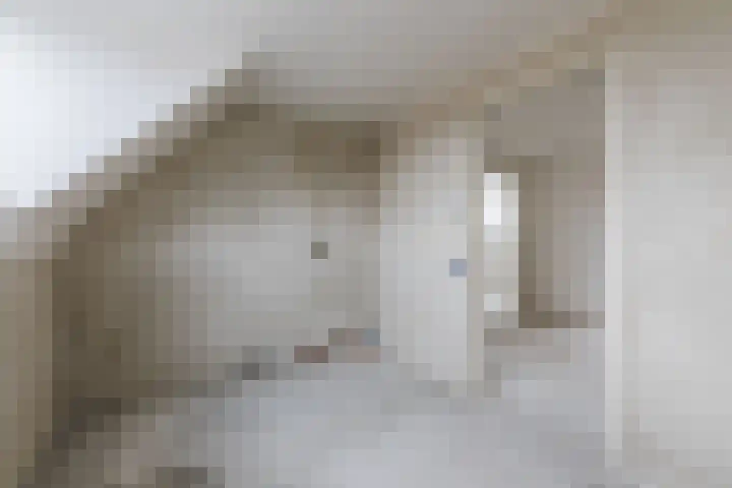 Mr de la Courtstraat 15 E Vessem thumbnail 26