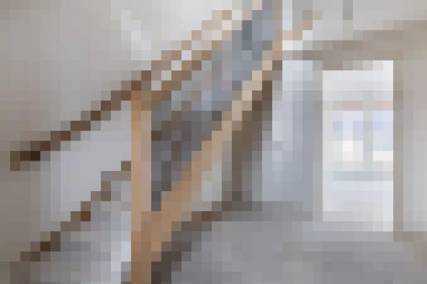 Mr de la Courtstraat 15 E Vessem thumbnail 4