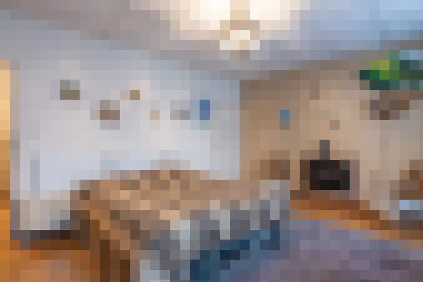 Mr dr Froweinweg 22 Eys thumbnail 12