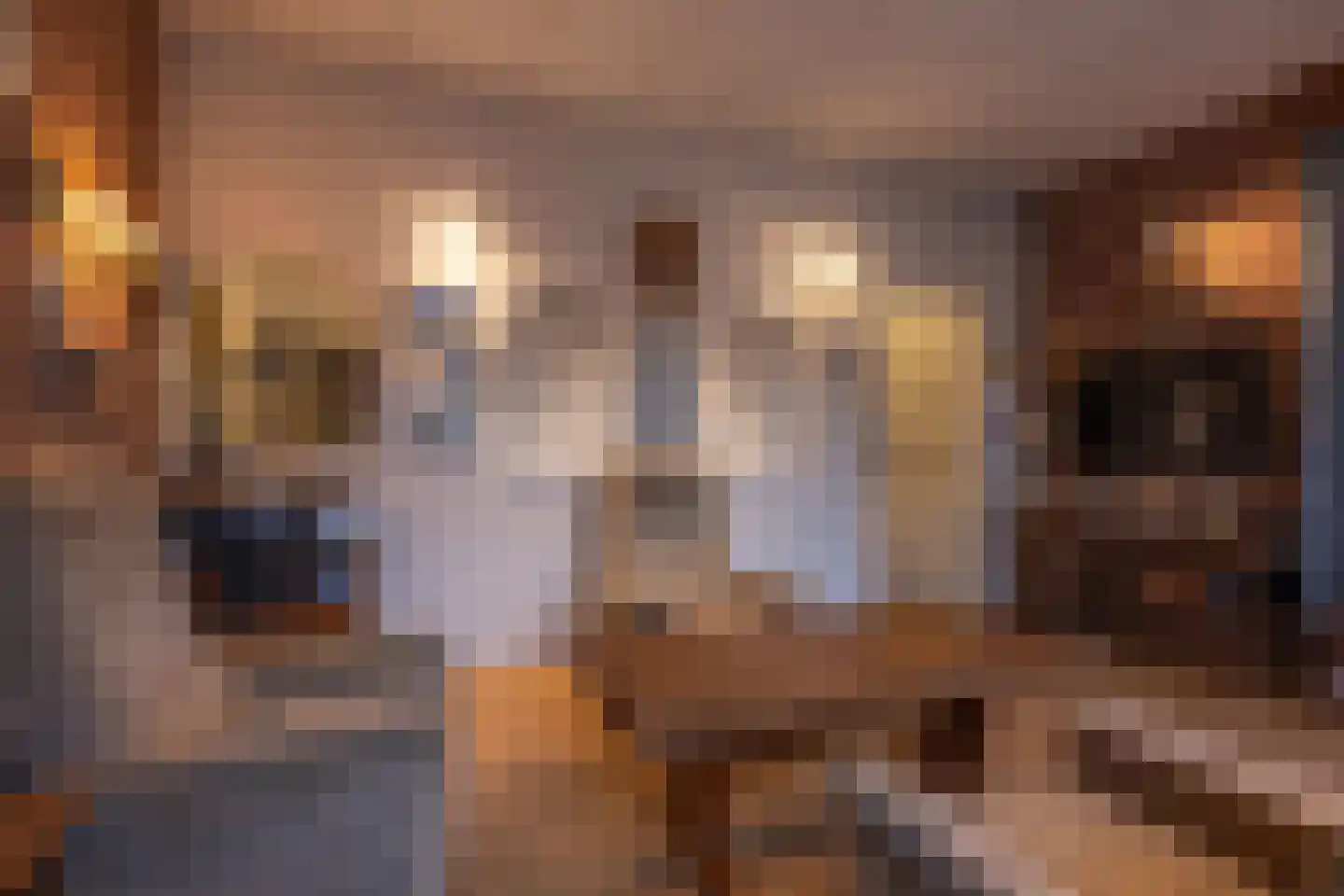 Mr dr Froweinweg 22 Eys thumbnail 4