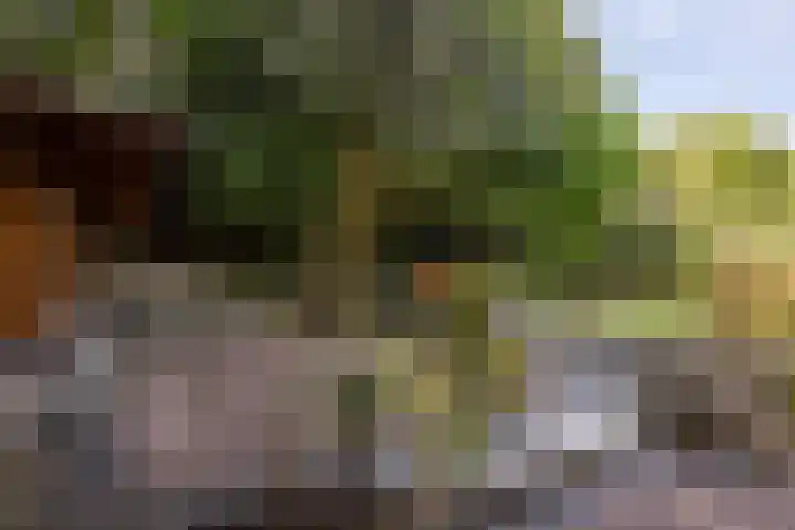 Mr dr Froweinweg 34 Eys thumbnail 24