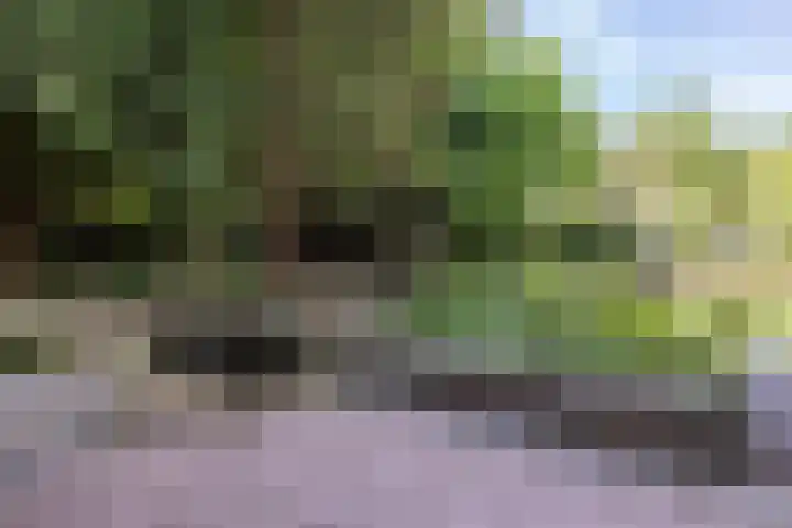 Mr dr Froweinweg 34 Eys thumbnail 25